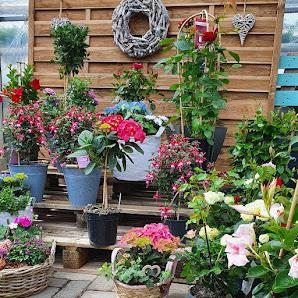 Blumen Fremy