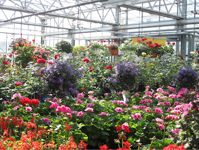 Gartencenter Ziegltrum