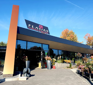 Flauas GmbH