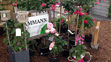 DAMMANN Floristik – Gartengestaltung
