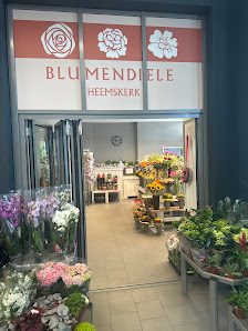 Blumendiele Heemskerk Dinklage