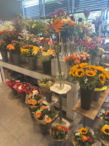 Blumendiele Heemskerk Dinklage