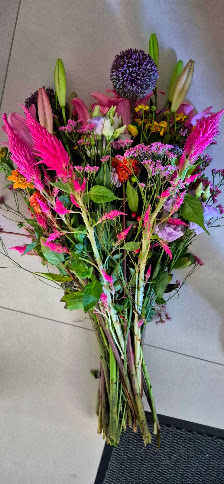 Schouten Blumen & Pflanzen