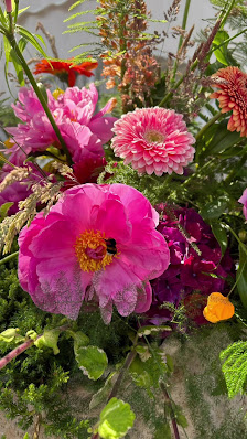 Blumen Engelmann