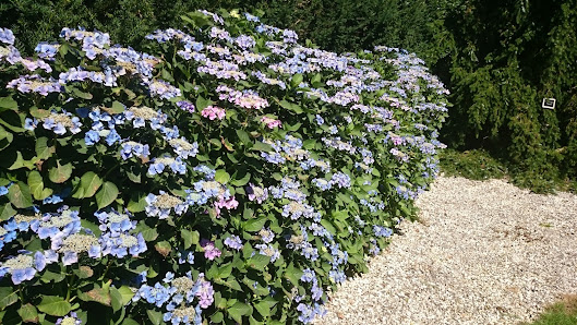 Hortus Schönhoff GmbH