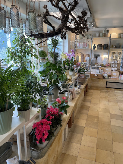Blumen Rupflin