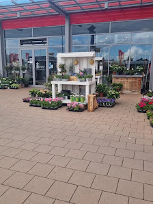 Blumen Interfleur Floristik & Wohnaccessoires