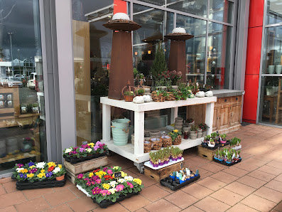 Blumen Interfleur Floristik & Wohnaccessoires