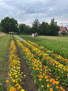 Blumen zum Selbstschneiden