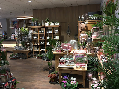 Blumen Interfleur Floristik & Wohnaccessoires