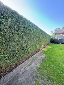 Maxi-Dienstleistung & Gartenpflege