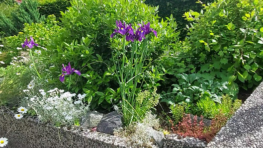 Blumenwerkstatt Susanne Bentrup