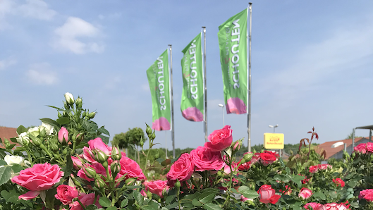 Schouten Blumen & Pflanzen Quakenbrück