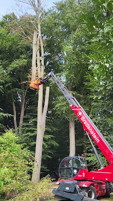 Gartenbau/Galabau Ostercappeln Heiko Wloch