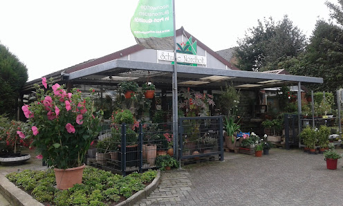 Blumen Schulte Nordholt