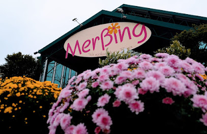 Hermann Mersing jun.