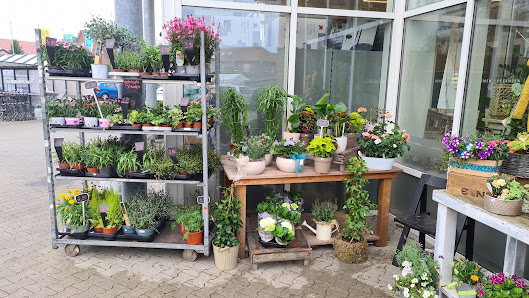 Bloemen& Trends
