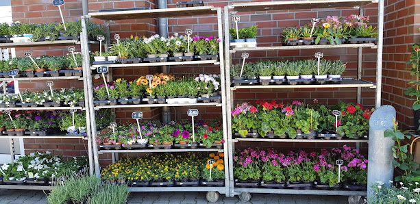 Bloemen& Trends