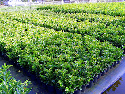 Gartencenter Bartels