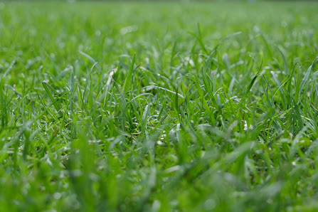 Lachenmayr Gartenbau - Schöne Gärten