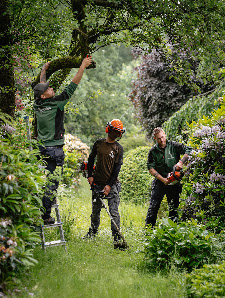 Garten Design Francovich GmbH