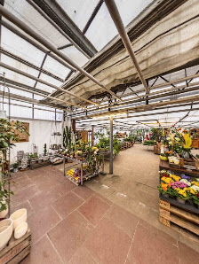 Gärtnerei Beyer Fleurop | Ibbenbüren