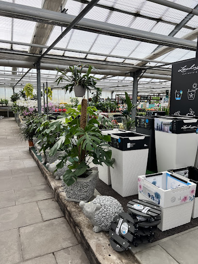 Wiesmoor Blumencenter Wiesmoor