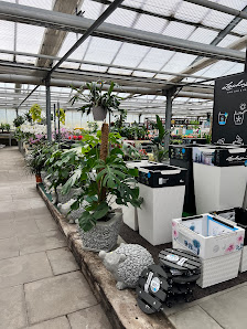 Wiesmoor Blumencenter Wiesmoor