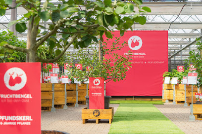Diderk Heinje Pflanzenhandelsgesellschaft mbH & Co. KG