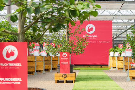 Diderk Heinje Pflanzenhandelsgesellschaft mbH & Co. KG
