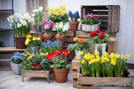 Gartencenter Kruse