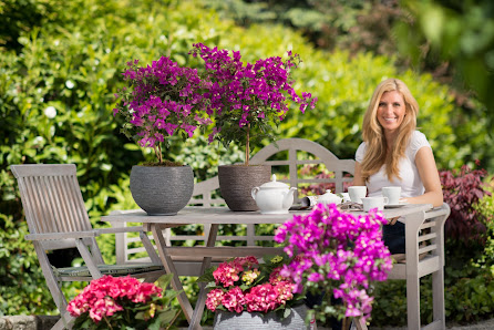 Gartencenter Kruse