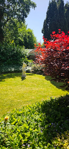 Herzblut Garten u.Hausservice Ludwigs