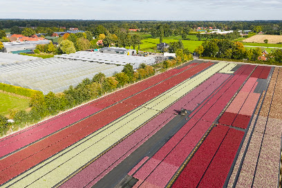 Gartenbau de Vries GmbH