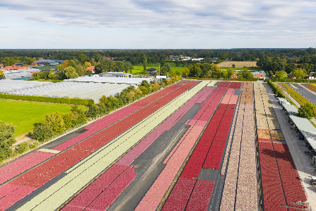 Gartenbau de Vries GmbH