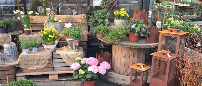 Blumen Olthoff