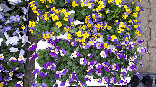 Blumengeschäft Blütenzauber
