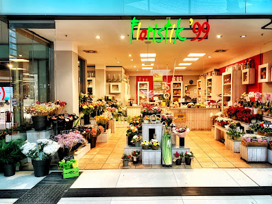 Blumen Vanessa am Potsdamer Platz