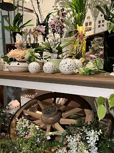 Blumenhaus Antje Bruns (Inh.Stefan Bruns)