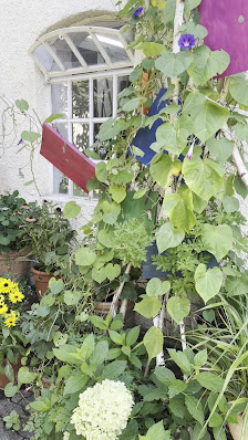 Blumen Art Konzepte
