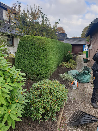 Gartenpflege Stefan Kückens