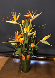 Blumenhaus Knoke