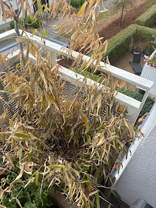 Gartencenter Jürgl