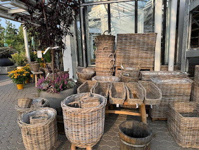 Pflanzen Mohr - Baumschule | Gartencenter | Gartengestaltung
