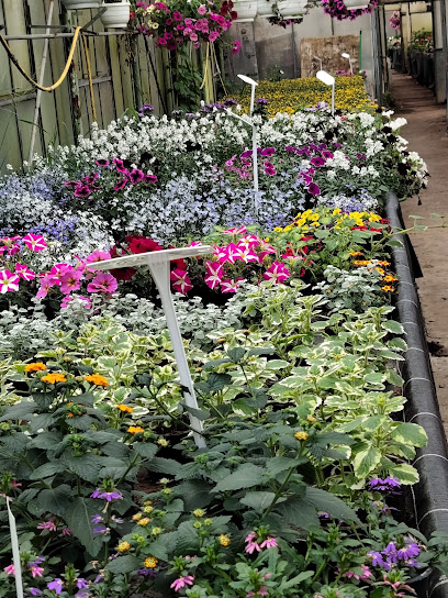 Hilda Harms Blumenhandel