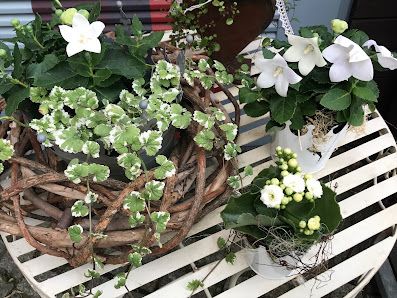 Soltauer Blumeneck