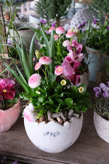 Blumenhaus Sander