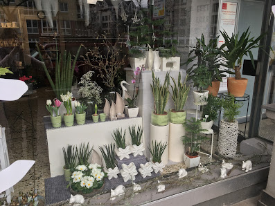 Floristik & Ambiente