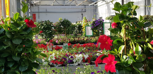 Blumen Benz - Gärtnerei & Floristik