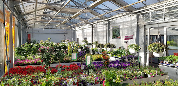 Blumen Benz - Gärtnerei & Floristik